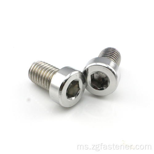 Hex Stainless Steel Socket Head Bolt Allen Key Bolts